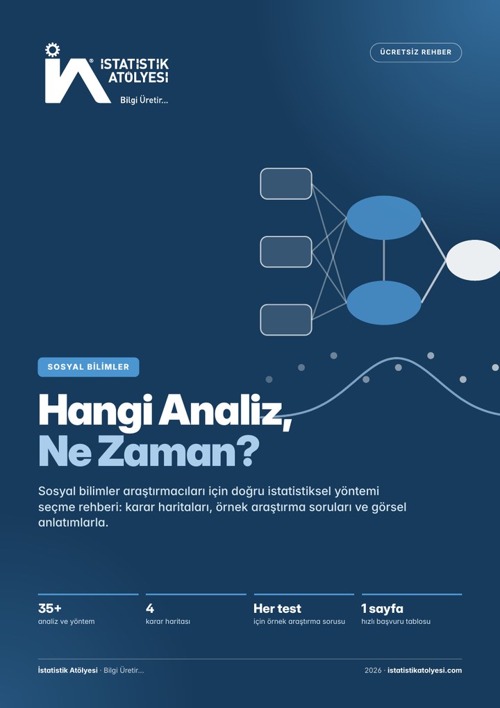 Hangi Analiz, Ne Zaman? Sosyal Bilimler Rehberi kapağı